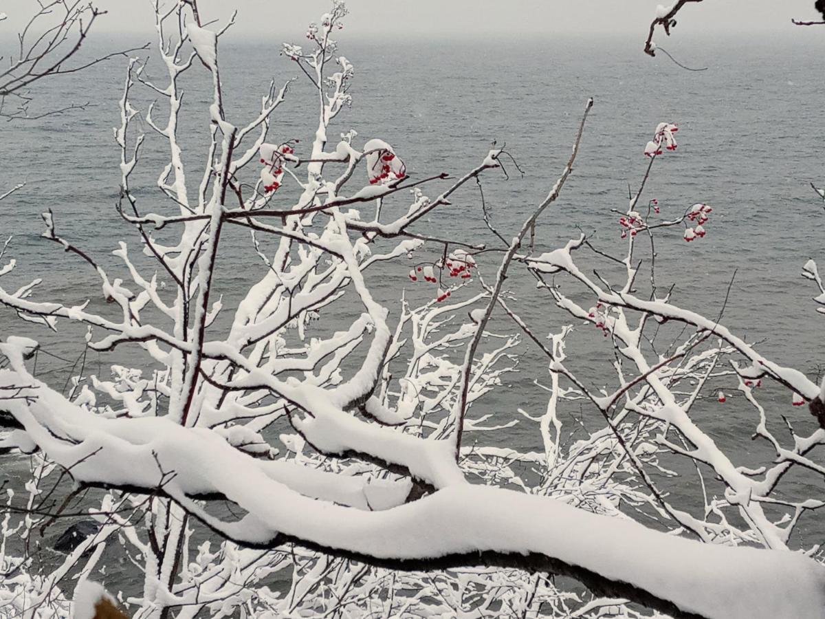 Tofte Cliff Dweller On Lake Superior מראה חיצוני תמונה